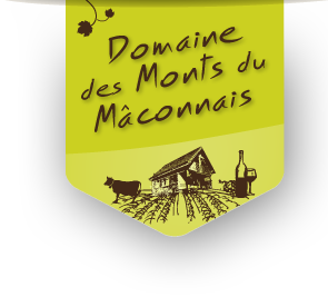 Domaine des Monts du Maçonnais chalet, salles de réunion, salles de mariage, séminaires, groupe en Bourgogne